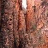 The famous Bunyip Chasm. This gorge is so narrow you can touch both sides for much of it's length. It also goes back a long way and is very, very tall.