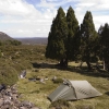 Nestled by ancient king billy pines in the Walls of Jerusalem National Park in Tasmania.