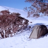 Camping on snow where the foot track up Stanleys Name Spur joins The Alpine Track. Not too far from Mt Howitt.